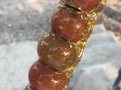 -新塘水果乐园(东洲大道店)