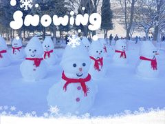 -沈阳奥体冰雪嘉年华