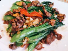 菜心炒鸽杂-大鸽饭(北京路店)