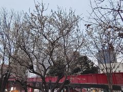 -西安创业咖啡街区