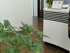 -精德口腔·种植修复·儿牙中心(财富中心店)