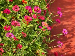 -永定河休闲森林公园