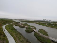 -春花秋色城市公园