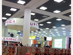 -谢列梅捷沃国际机场