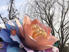 -老门东历史文化街区