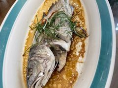 -东营西郊蓝海禧华大饭店·渔歌舫