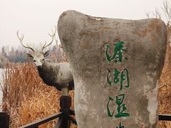 -溱湖国家湿地公园