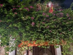 -Cuc Gach Quan Restaurant