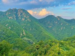 -大岭沟猕猴桃谷风景区