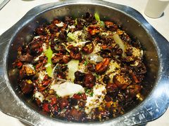 -万和源炝锅城·活鱼现炝(文艺北路店)