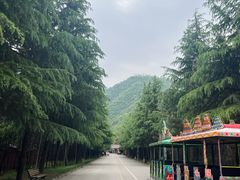 -西安金龙峡风景区
