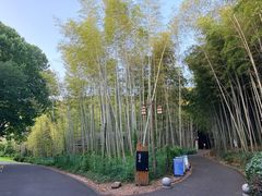 -苏州环秀晓筑养生度假村