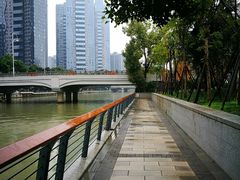 -光明港公园