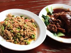 东坡肘子-绿光森林餐厅