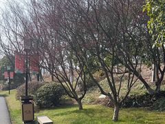 -茅山东方盐湖城景区