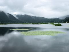-腾冲北海湿地