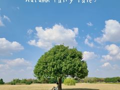 -无锡新湖铂尔曼大酒店