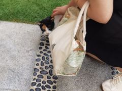 -广州天河城购物中心