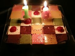 -维尔纳斯·生日蛋糕动物奶油冰淇淋蛋糕(人大店)