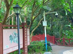 -阳台山森林公园