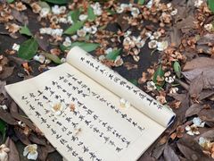 -福清灵石山国家森林公园