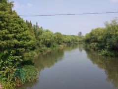-新江湾城公园