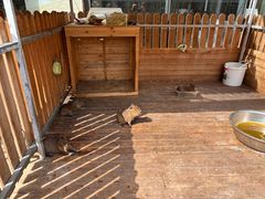 -廊坊固安福朋喜来登酒店