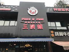 -麻辣巅峰美蛙鱼头火锅(犀浦店)