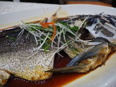 -雅和生态渔庄·宜城锅巴饭(龙灵山公园店)