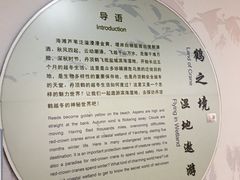 -盐城丹顶鹤湿地生态旅游区