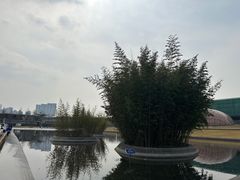 -金陵图书馆