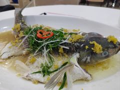 鸡汤浸魭鱼-松北囍宴(松北店)