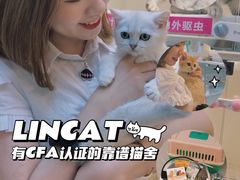 -lincat·猫舍(广州店)