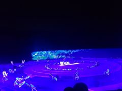 -鼎盛王朝康熙大典实景演出