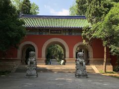 -灵谷景区