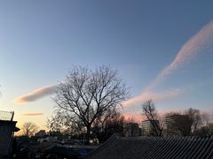 -Sirena海妖日咖夜酒