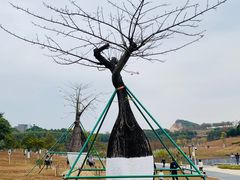 -东莞植物园