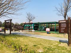 -田园东方蜜桃村的田野营地