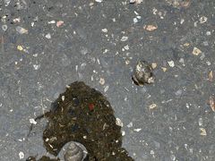-滨湖塘西河公园