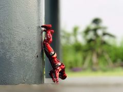 -上海月湖雕塑公园