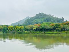 -顺峰山公园