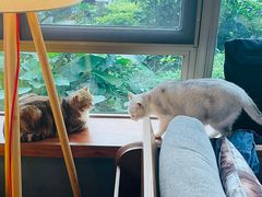 -咖法森林·咖啡  酒吧(天河店)