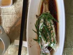 -十八棵（老龙井）御茶园(老龙井店)