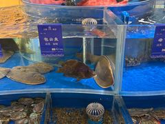 -天顺渔港·海景餐厅(星海广场店)