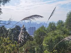 -仙岳公园