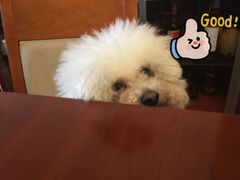 -魔方cube剧情密室逃脱(海岸城店)