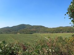 -石塘人家