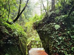 -碧峰峡风景区
