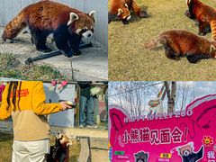 -水上乐园·欢乐世界