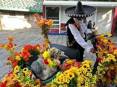 -大连海昌发现王国主题公园